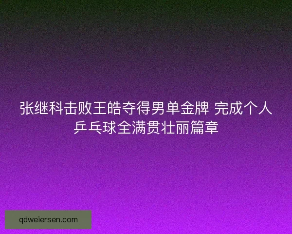 张继科击败王皓夺得男单金牌 完成个人乒乓球全满贯壮丽篇章