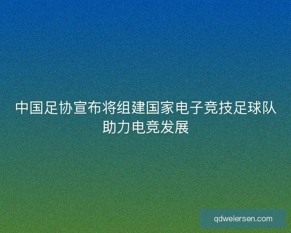中国足协宣布将组建国家电子竞技足球队助力电竞发展 中国足协宣布将组建国家电子竞技足球队助力电竞发展