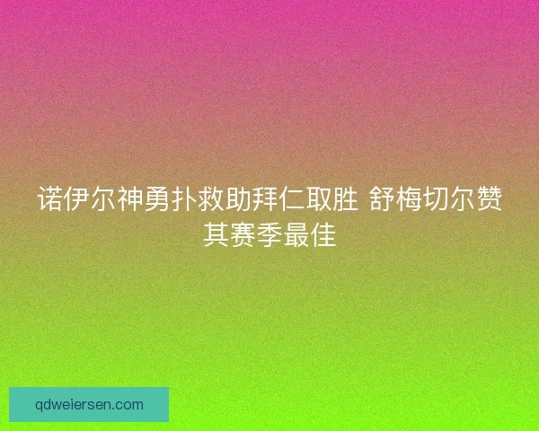 诺伊尔神勇扑救助拜仁取胜 舒梅切尔赞其赛季最佳 诺伊尔神勇扑救助拜仁取胜 舒梅切尔赞其赛季最佳